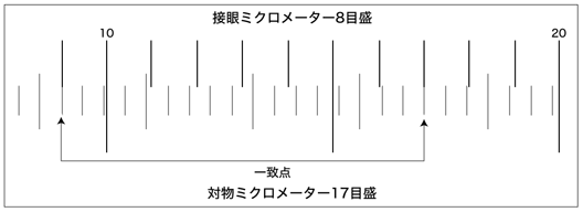 接眼ミクロメーターの校正:画像